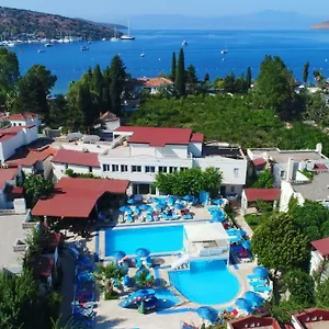 book here