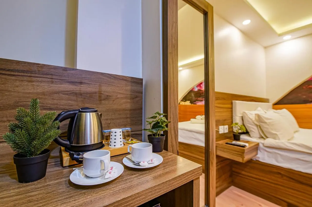 Mitani Suites Provincia di Provincia di Istanbul Turchia